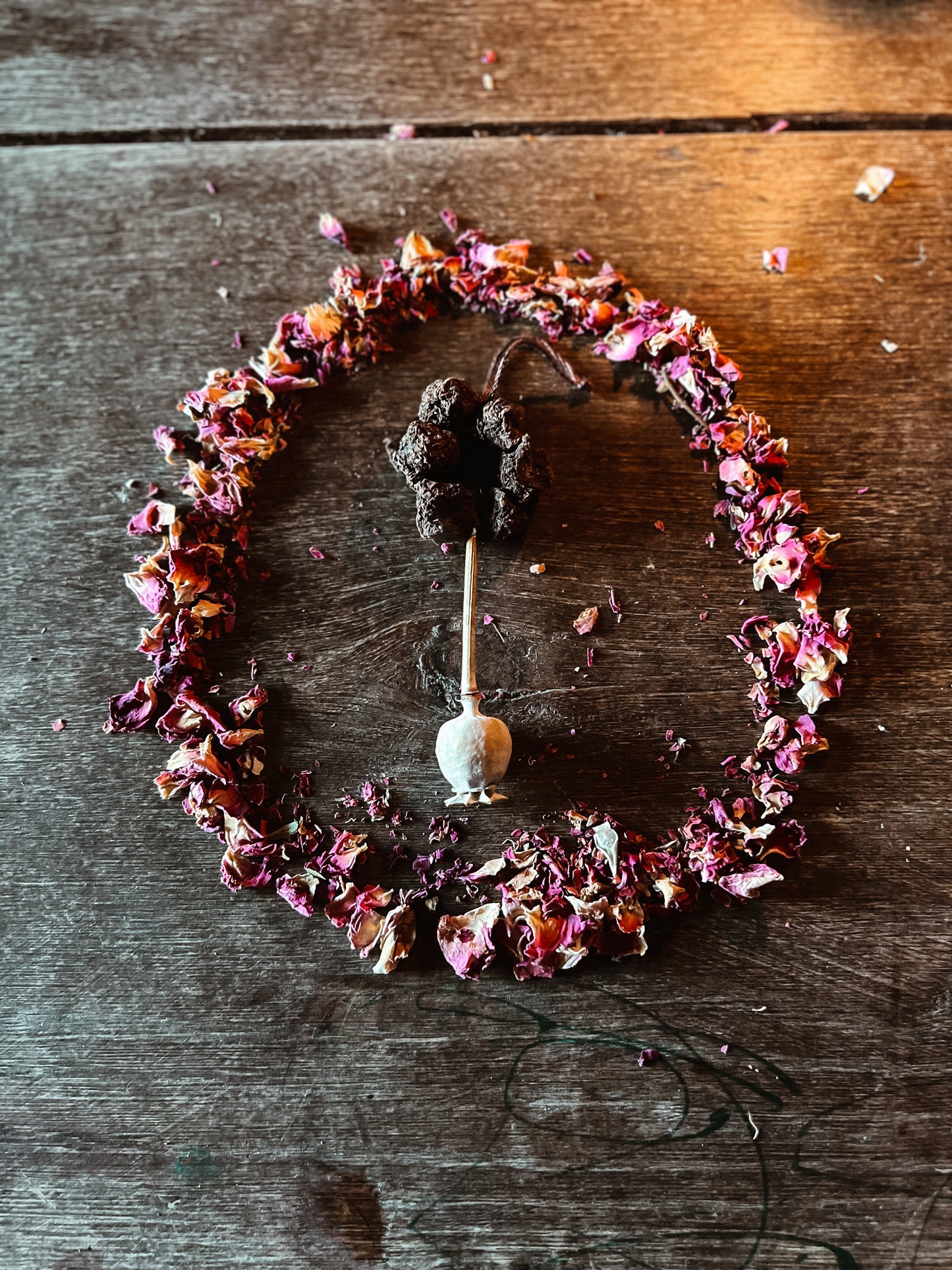Rose Of The Desert Devotional Habit